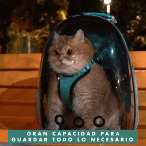 ASTRO MALETA PARA MASCOTAS PERRO O GATO