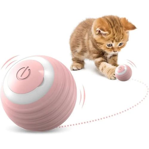 PELOTA JUGUETE INTERACTIVA PARA GATOS
