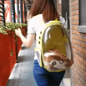 ASTRO MALETA PARA MASCOTAS PERRO O GATO